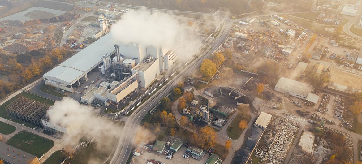 化石燃料发电厂是造成气候变化的温室气体的最大排放源之一。