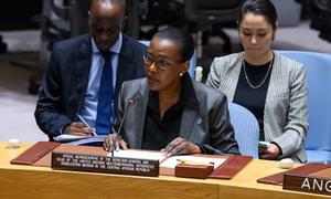 Valentine Rugwabiza, Special Representative of the Secretary-General in the Central African Republic, briefs the Security Council meeting on the situation in the country.