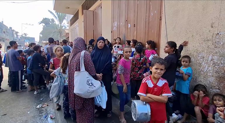 تدهور الأمن الغذائي في غزة، وشح في الإمدادات وسعر كيس الدقيق يصل إلى 200 دولار تدهور الأمن الغذائي في غزة، وشح في الإمدادات وسعر كيس الدقيق يصل إلى 200 دولار