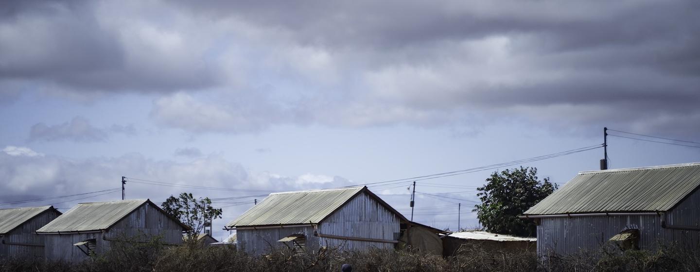 Deux jeunes filles traversent un camp de déplacés dans le sud de la Somalie, où des familles déracinées par la sécheresse ont trouvé refuge.