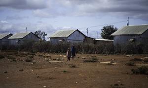 Two young girls walk through a displacement camp in southern Somalia, where families uprooted by drought are sheltering.