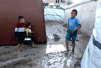 media:entermedia_image:0e9ac01a-16d0-41c4-90a2-9fd1e146d7c0