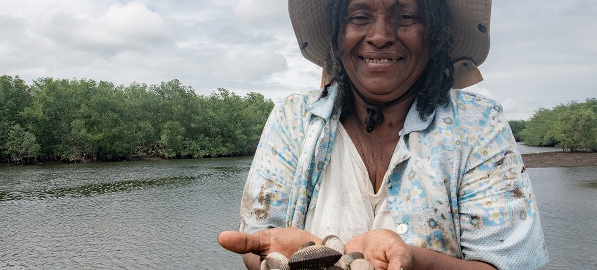 Projetos promovem biodiversidade em quatro continentes