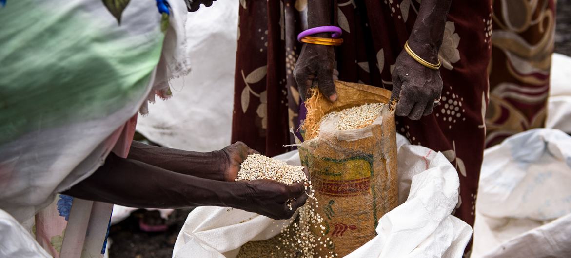 Women divide up sacks of cereals during a food distribution in  South Sudan.