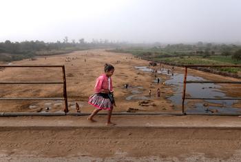 Par un matin brumeux, la rivière Manabovo, à Madagascar, est complètement à sec, les habitants se rassemblent sur son lit pour creuser des trous dans l'espoir de trouver de l'eau.