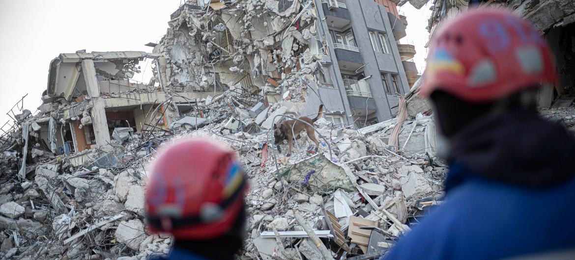 Un perro de rescate busca supervivientes del terremoto en la ciudad de Antakya, en Turquía..