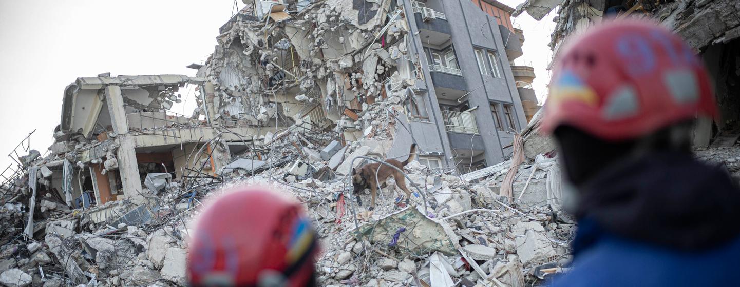 अंकारा, हाते, तुर्किये में भूकम्प से बचे लोगों की तलाश करता एक बचाव कुत्ता.