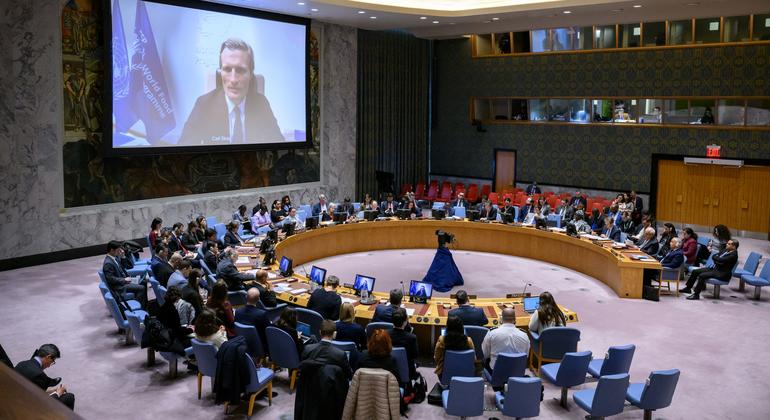 نائب المديرة التنفيذية لبرنامج الأغذية العالمي، كارل سكاو يتحدث في جلسة لمجلس الأمن حول انعدام الأمن الغذائي في غزة.