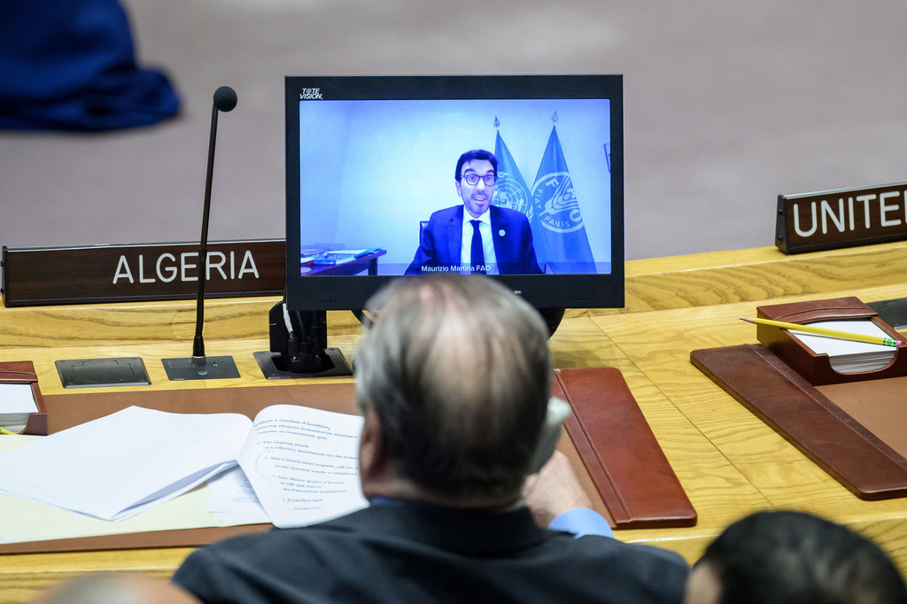 Maurizio Martina (on screen), Deputy Director General  of the Food and Agriculture Organization (FAO), briefs the UN Security Council  meeting on the protection of civilians in armed conflict.