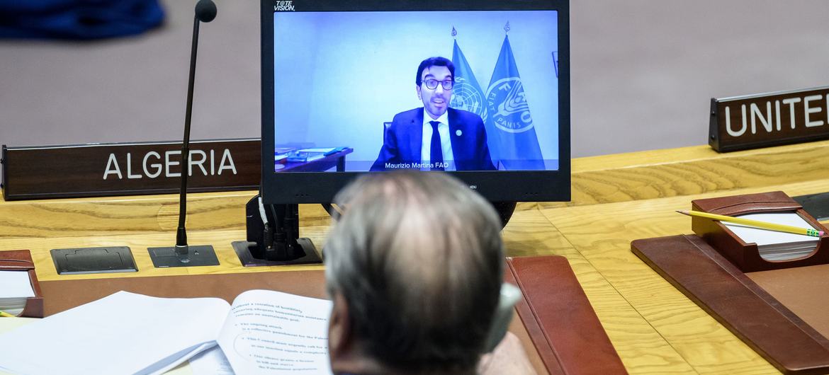 Маурицио Мартина (на экране), заместитель Генерального директора Продовольственной и сельскохозяйственной организации ООН (ФАО), проводит брифинг на заседании Совета Безопасности ООН.