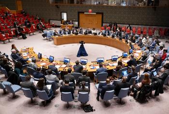 مجلس الأمن الدولي.