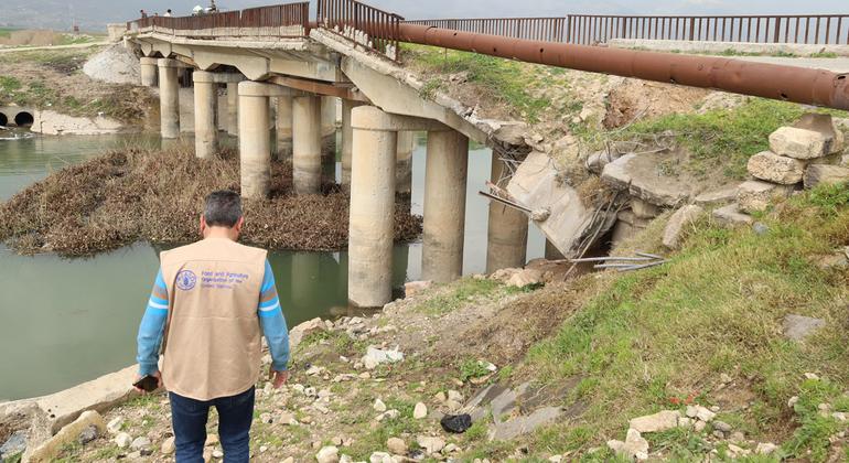 أدى الزلزال المدمر الذي ضرب سوريا وتركيا إلى تصدّع المنازل والحظائر والطرق والجسور.