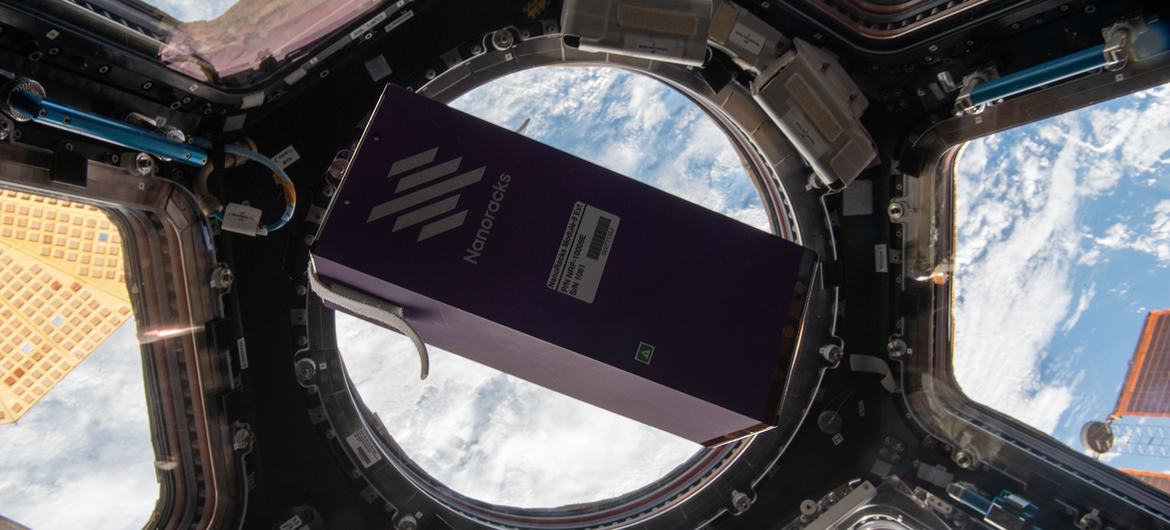 Seeds from IAEA and FAO laboratories were sent to space in November 2022.