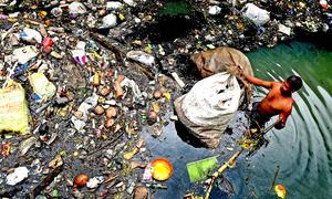 Un recogedor de basura se sumerge hasta la cintura en el agua de un canal de Kochi (India).