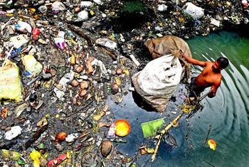 Un recogedor de basura se sumerge hasta la cintura en el agua de un canal de Kochi (India).