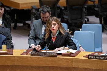 联合国秘书长科索沃事务特别代表齐亚德（Caroline Ziadeh）。
