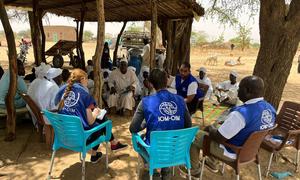 IOM teams are assessing the needs of Sudanese refugees on the Chad–Sudan border. 