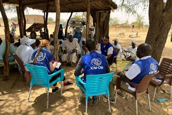 国际移民组织团队正在评估乍得-苏丹边境上苏丹难民的需求。