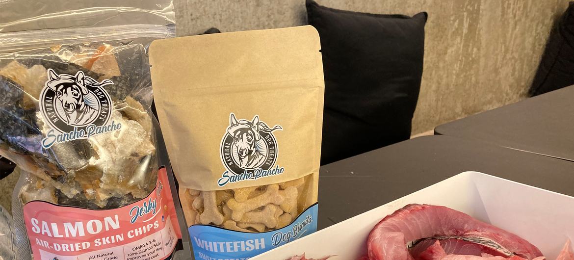 Duas embalagens de petiscos para cães da marca Sancho Pancho, uma de salmão desidratado e outra de biscoito de peixe branco, ao lado de um recipiente com restos de peixe cru, em um ambiente de cozinha.