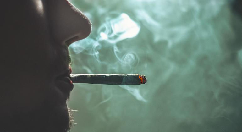 O Conselho Internacional de Controlo de Estupefacientes (INCB) manifesta preocupação com a tendência para a legalização do uso recreativo de cannabis.