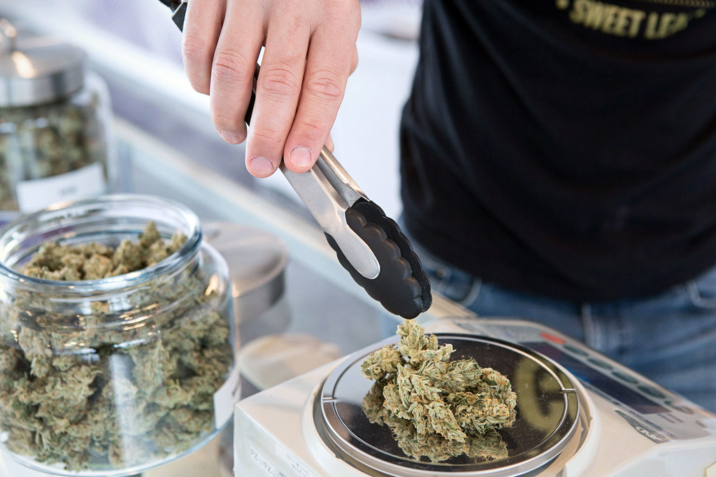 Cannabis.