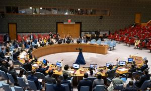 Les membres du Conseil de sécurité adoptent une résolution concernant le maintien de la paix et de la sécurité internationales le 27 juin 2024.