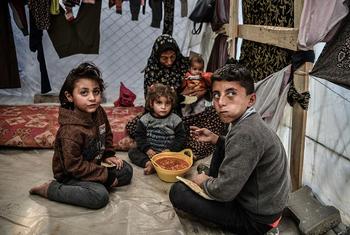 أسرة فلسطينية تجتمع حول وعاء واحد من البقوليات في خيمتهم في رفح، جنوب قطاع غزة.