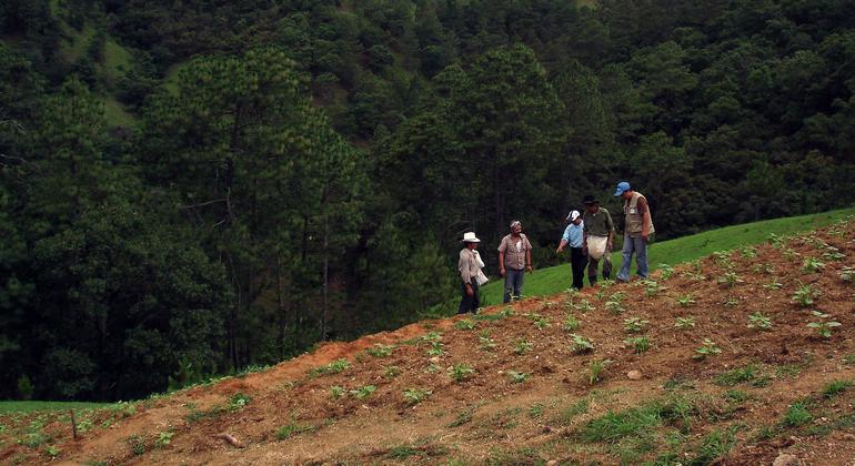 Agricultores trabjando la tierra en Guatemala.