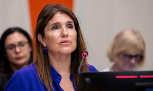 Ambassador Paula Narváez Ojeda of Chile, incoming President of the Economic and Social Council (ECOSOC), chairs its first plenary meeting and the opening of the 2024 session.