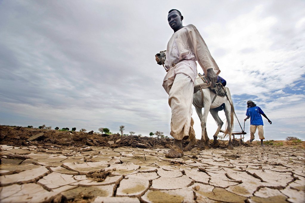 La sécheresse cause des pertes économiques importantes pour les agriculteurs à travers le monde.