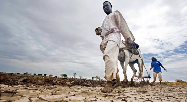 يتسبب الطقس القاسي مثل الجفاف المنتشر في خسائر اقتصادية بين المزارعين في جميع أنحاء العالم.