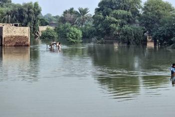Severe monsoon rains across Pakistan have affected more than one million people.