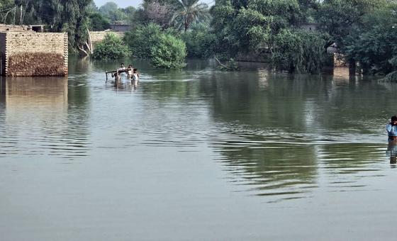 Pakistan floods leave villages cut off as monsoon devastation continues thumbnail
