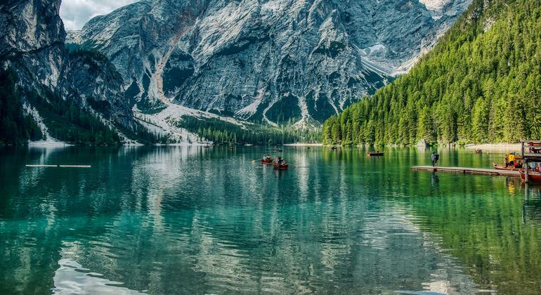 Protección de la naturaleza, incendios en Chile, Gaza… Las noticias del jueves