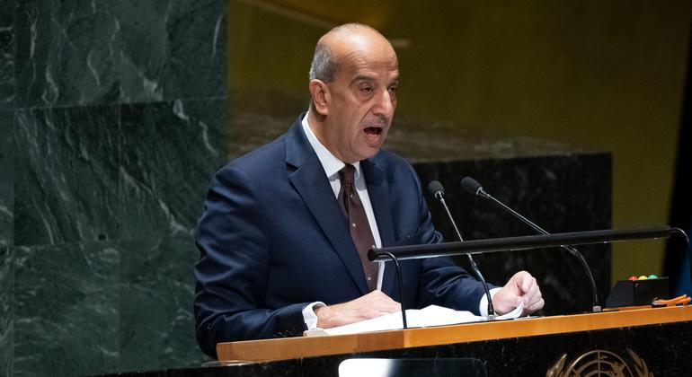 埃及常驻联合国代表阿卜杜勒哈利克在联合国大会发言。