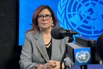 联合国俄罗斯人权状况特别报告员卡札罗娃。