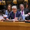 Помощник Генерального секретаря ООН Мирослав Енча на заседании Совета Безопасности.