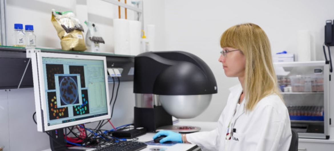 Сотрудница Лаборатории безопасности и контроля пищевых продуктов Совместного центра ФАО/МАГАТЭ проводит анализ на основе методов мультиспектральной визуализации с целью выявить кофейные зерна сорта арабика, которые ради извлечения экономической выгоды бы…