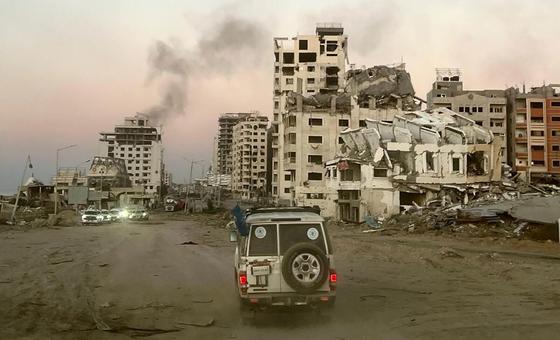 Gaza: ‘Hunger is everywhere’, babies die from the cold, airstrike on unarmed journalists condemned