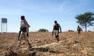 Soldiers of the Niger army patrol on the border with Nigeria in the south of the country.