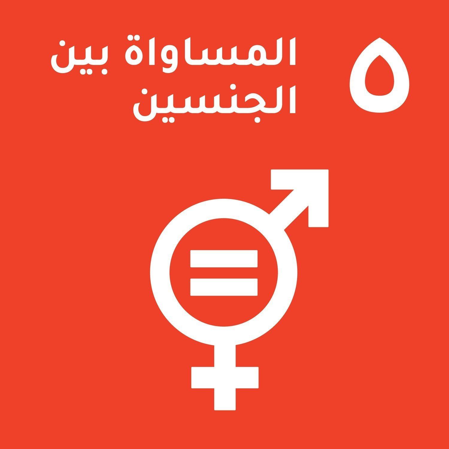 الهدف 5 - المساواة بين الجنسين