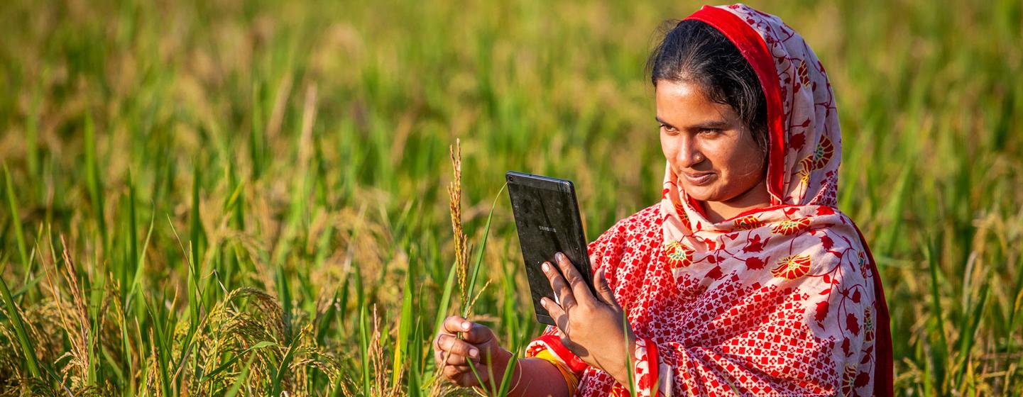 Farmers in Bangladesh have access to digital platforms to reach a wider market and get better prices for their crops.