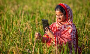 Farmers in Bangladesh have access to digital platforms to reach a wider market and get better prices for their crops.