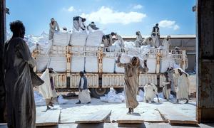 Экстренная продовольственная помощь из Украины была доставлена в Судан.