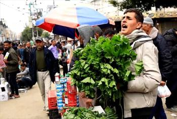 Ahmed Fayyad was a pharmacy student and is now selling cheeseweed in Deir Al Balah after being displaced from Khan Younis in southern Gaza. 