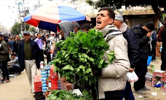 Gazans eating wild plants to survive