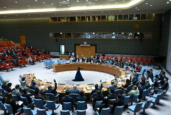 安理会成员就关于延长1718委员会监测安理会对朝鲜民主主义人民共和国制裁的专家小组的任务期限的决议草案进行表决。