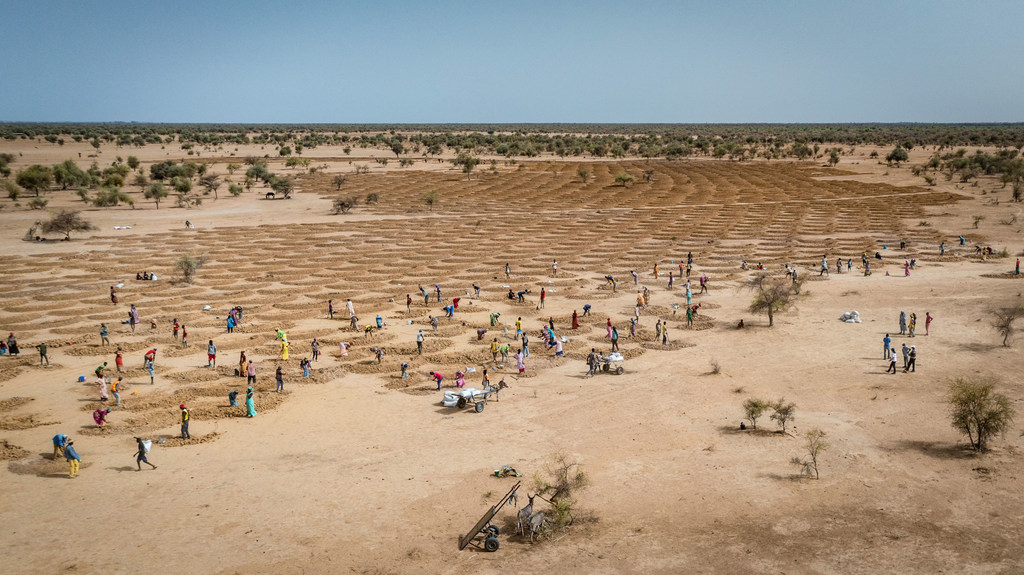 Les communautés agricoles du Sénégal restaurent les terres dégradées pour contrer les effets du changement climatique.