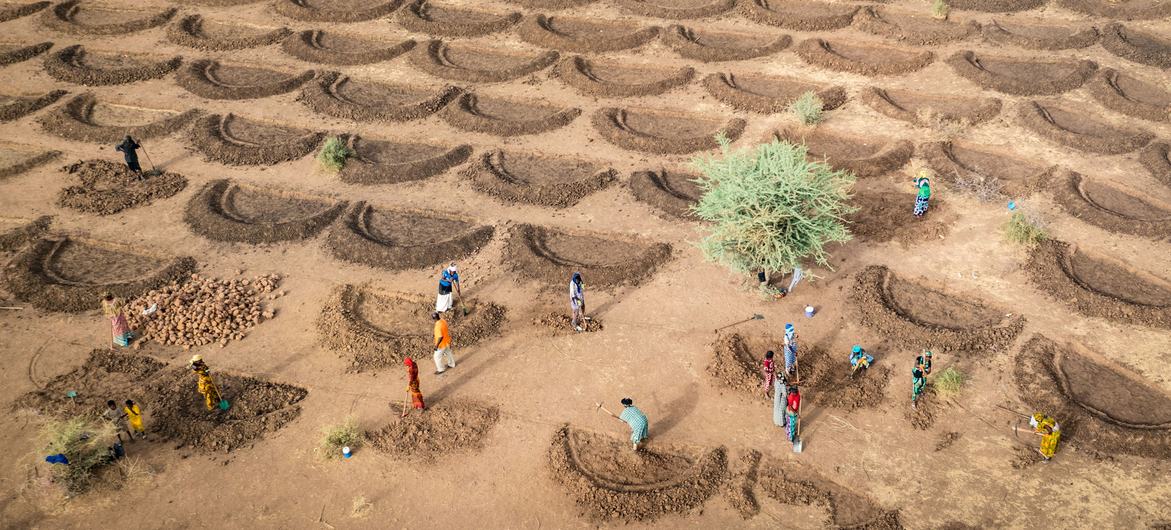 In Senegal, new farming methods are being introduced to combat the effects of climate change.