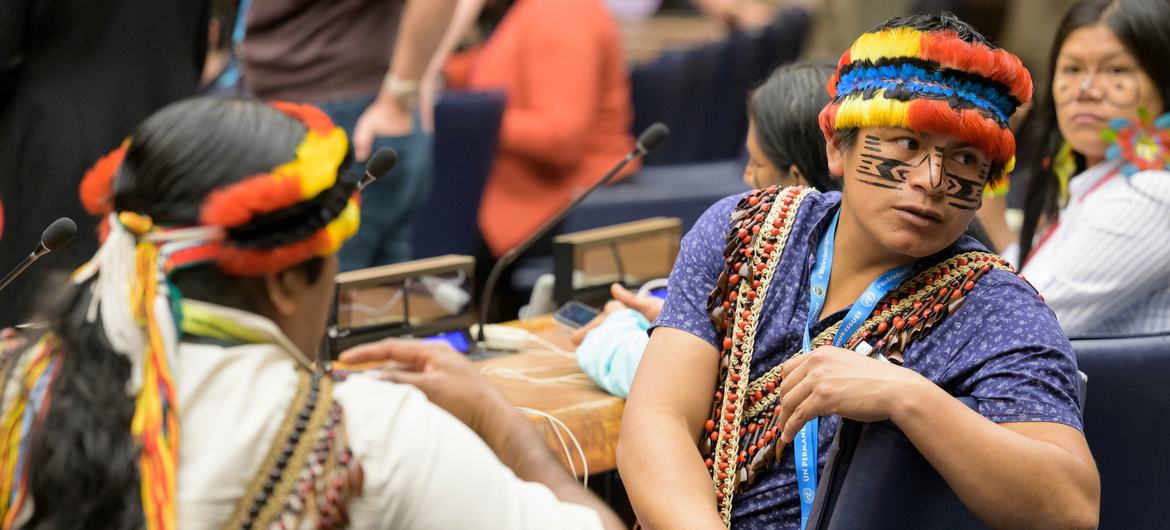 Delegados del Foro Permanente para las Cuestiones Indígenas en el piso del salón de la Asamblea General.